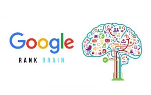 الگوریتم رنک برین