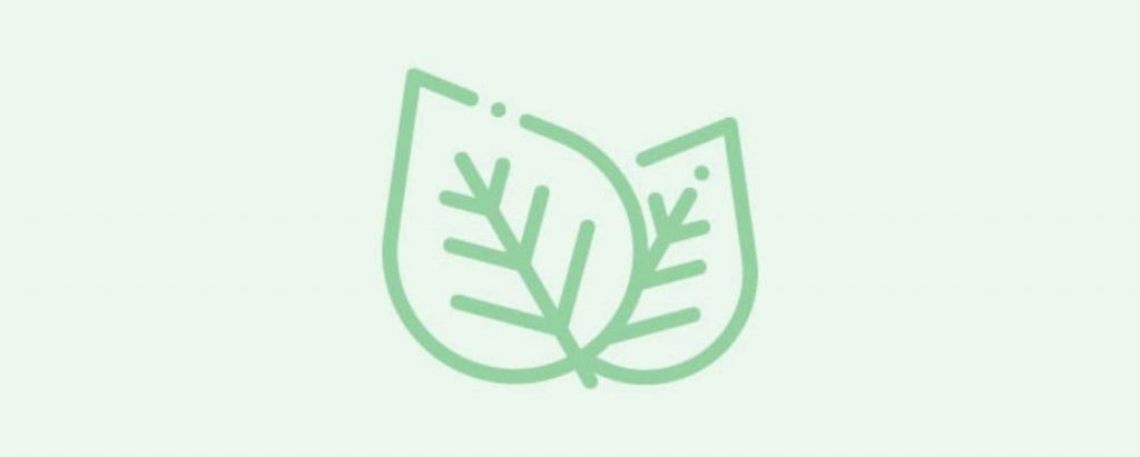 فرمت های رایج محتوای همیشه سبز