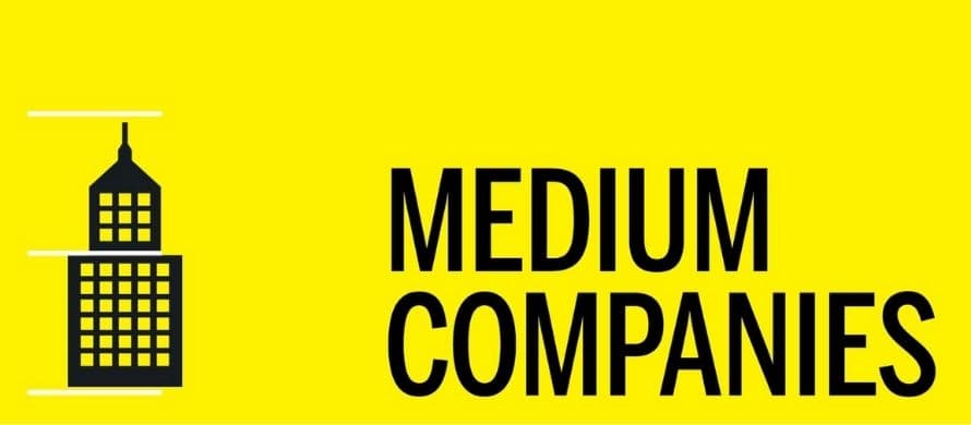 شرکت های با اندازه متوسط (Mid-sized companies)
