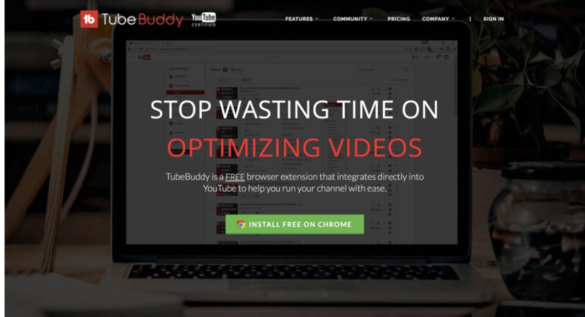 تیوب بادی (Tube Buddy)